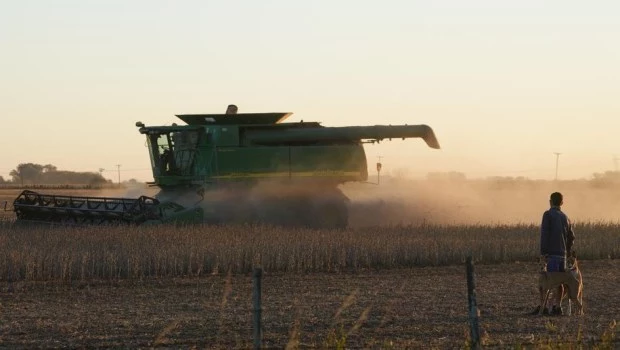 “La campaña anterior dejó la vara alta”, explica Bruno Ferrari. El año pasado la producción de granos llegó a la cifra histórica de 172,4 millones de toneladas.