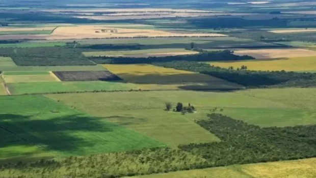 La Corte revocó el fallo que declaraba inconstitucional la derogación de la Ley de Tierras