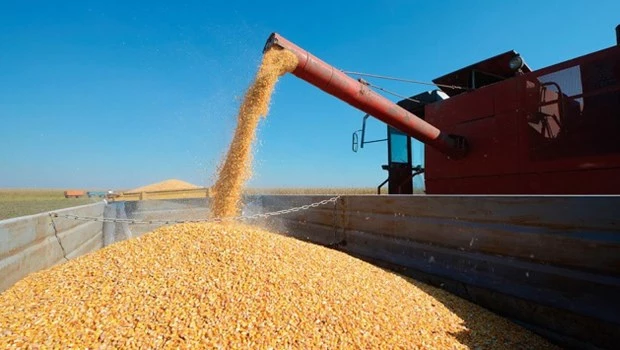Fuerte aumento de las liquidaciones del agro