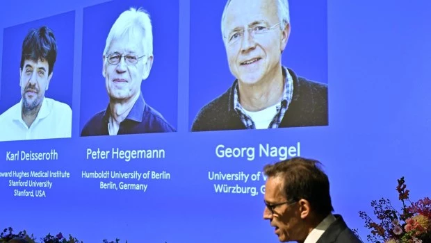 El Nobel de Medicina premia a tres científicos por sus descubrimientos en optogenética