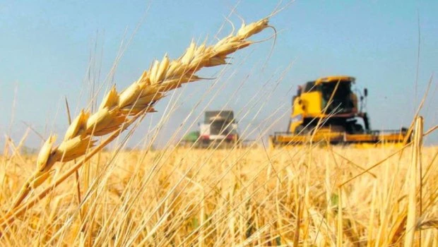 El campo es mucho más que campo
