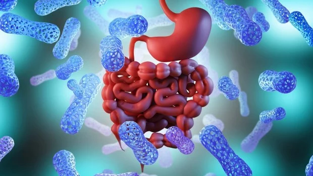 Hallan distintos patrones del microbioma intestinal en cinco grupos de cáncer