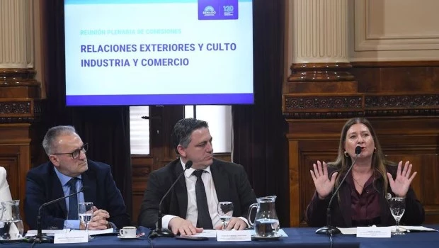 Tras el acuerdo con EE.UU., avanzó en el Senado el tratado sobre patentes