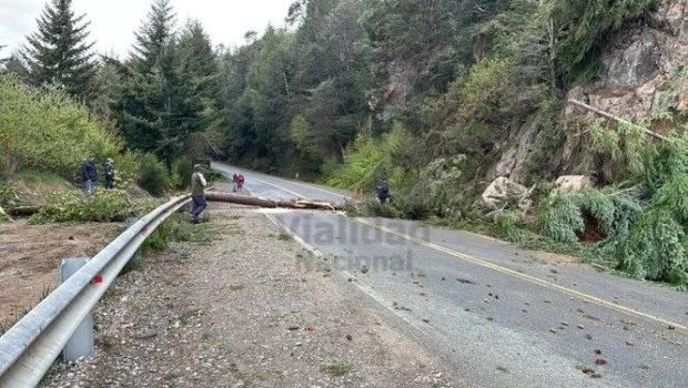Corte total en Ruta 40 tras un desmoronamiento en la zona de Villa la Angostura