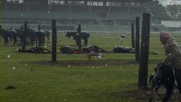 Un rayo mató a cuatro yeguas de polo en el Jockey Club de San Isidro