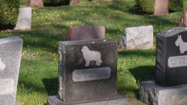 La Legislatura aprobó la creación de un servicio público de cremación y cementerio para mascotas