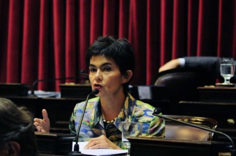 Estenssoro: "No daremos un cheque en blanco para que usen las reservas para gobernar hasta el 2020"