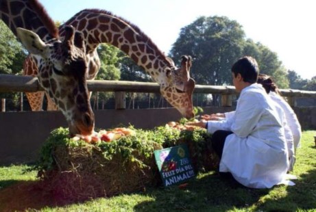 El zoológico porteño celebra el Día del Animal 