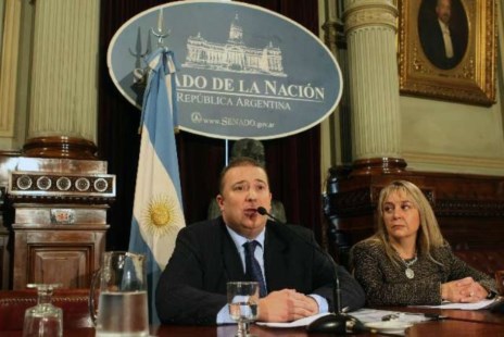El Senado continuó con la ronda de consultas por la ley del matrimonio gay