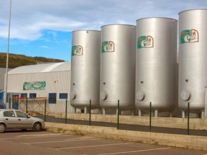 Bioenergía: el nicho donde el país corre con ventaja