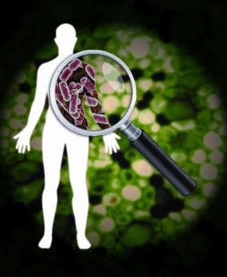 Bacterias, protagonistas de la naturaleza 