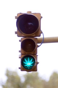 Marihuana: sin pena pero con riesgos