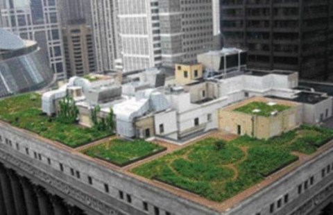 Espacios verdes, una necesidad urbana