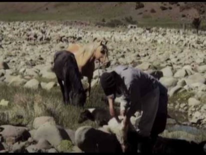 En las áridas tierras del sur