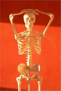 "Se tratan por osteoporosis pacientes que no lo necesitan"