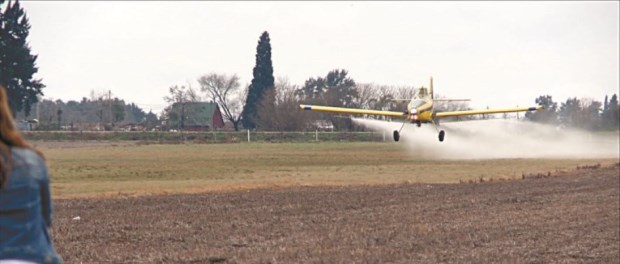 Las avionetas esparcen los herbicidas que se presume son dañinos. 