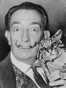 Salvador Dalí siempre es noticia