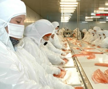 Salmón, el pescado­ más polémico­