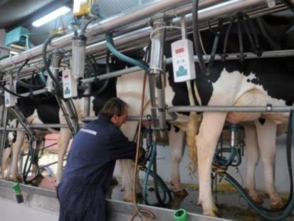 Tamberos de Córdoba advierten sobre nuevas bajas en la producción lechera