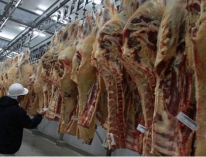 Ganaderos advierten que el problema en el precio de la carne "está en la intermediación" 