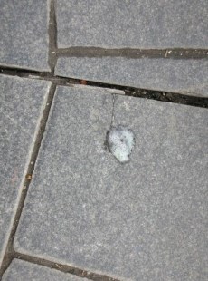 La saliva, detectora de enfermedades 