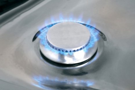 El Gobierno ordenó a las industrias no usar gas por inconvenientes derivados de los conflictos gremiales