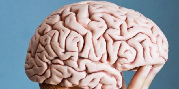 Un método que permite predecir la "edad del cerebro" de una persona mediante el uso de imágenes de resonancia magnética puede ayudar a identificar a quienes tienen mayor riesgo de enfermedad o, incluso, de muerte prematura.
