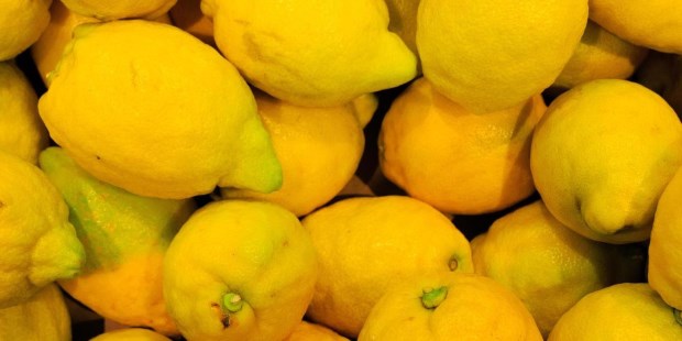 Por primera vez la Argentina empezará a exportar limones a México 