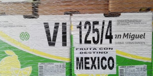 El primer cargamento es de 23 toneladas.