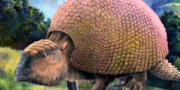Glyptodon.