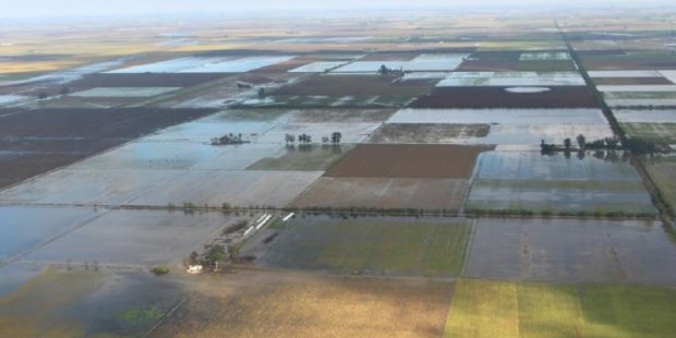 Estado de emergencia agropecuaria en los departamentos santafesinos de Vera y General López