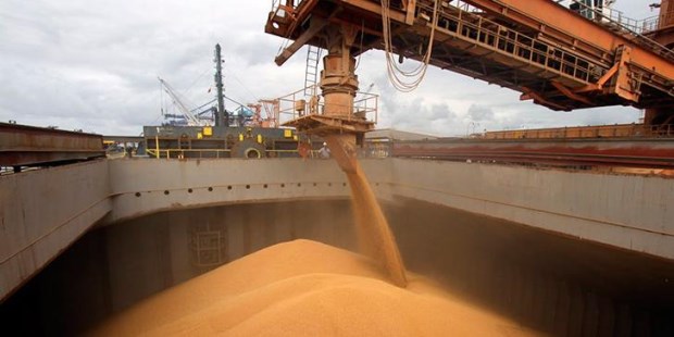 La región pampeana aporta el 75% de las exportaciones