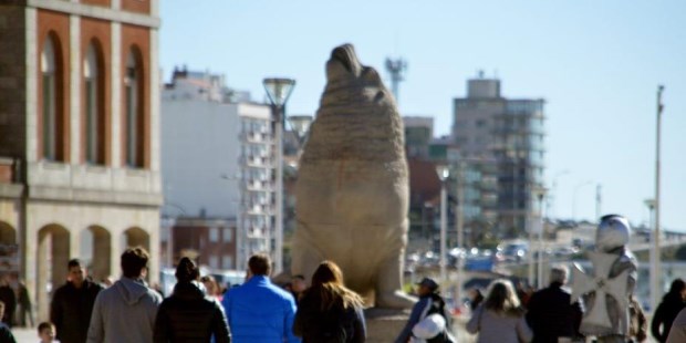 Foto: Gentileza La Capital de Mar del Plata.