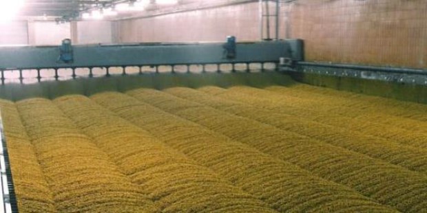 Una cerveza bien azufrada