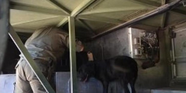 Secuestran 21,5 kilos de marihuana ocultos en un parlante que se llevaba en la bodega de un micro en Salta