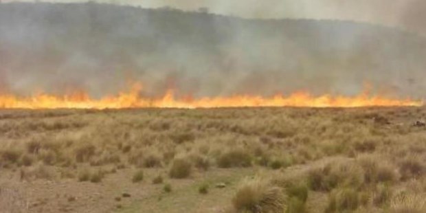 Dos nuevos incendios forestales en las sierras de Córdoba
