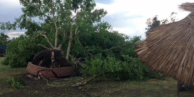 Necochea sufrió un tornado que ocasionó voladura de silos, árboles y techos