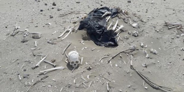 Los restos humanos hallados en Chubut datan de 3.000 años y son parte de un yacimiento arqueológico 