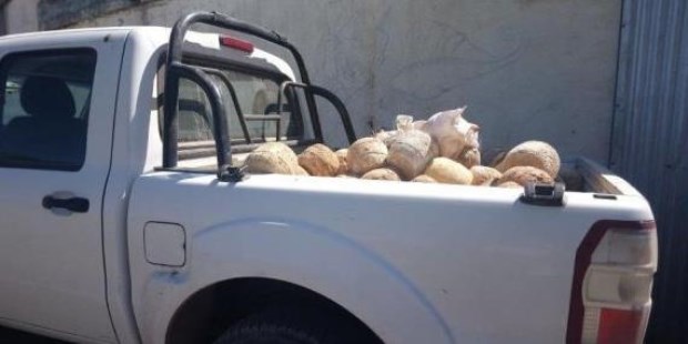 Impiden la comercialización de 96 toneladas de lácteos por irregularidades