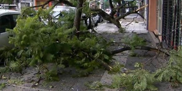Arboles caídos, voladura de techos y cortes de luz por el temporal en ...