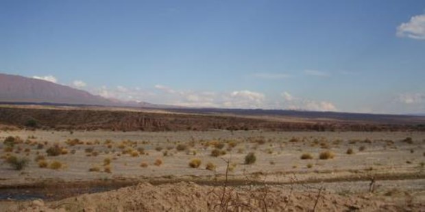 La Argentina debe cambiar su forma de pensar: hay que industrializar nuestras materias primas en su lugar de origen.