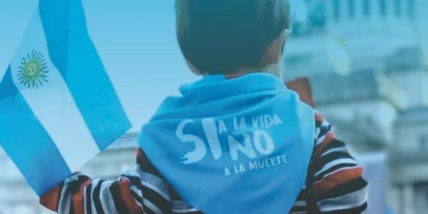 Advierten que de aprobarse la ley, el aborto costaría al Estado unos 4.000 millones de pesos en 2019