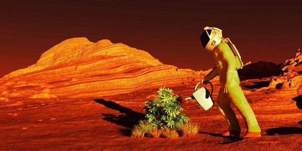 Cultivos en Marte que pueden revolucionar la agricultura terrestre 