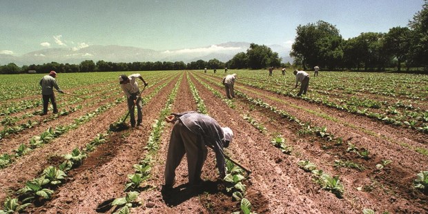Falacias repetidas por el Sr. Piumato