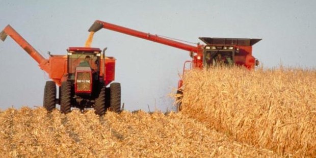 La cosecha 2018-2019 podría añadir unos 8.000 millones de dólares más a la economía.