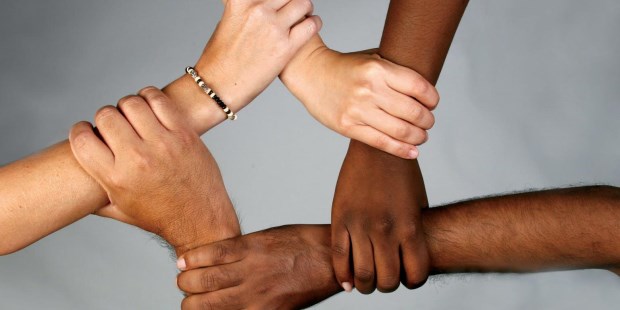 El mito de la diversidad