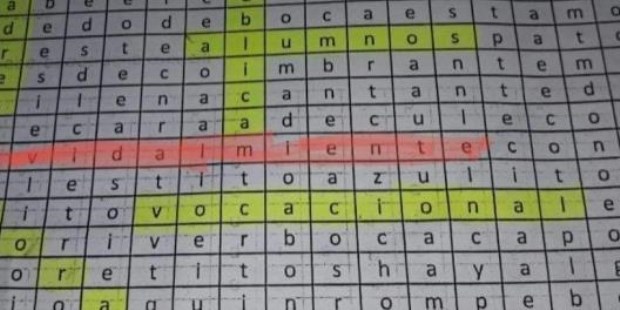 Escándalo: una docente escribió “Macri gato” en un crucigrama para sus alumnos