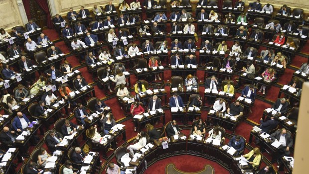 El oficialismo rechazó en Diputados un proyecto de la oposición para tratar  el &quot;conflicto mapuche&quot; - Política | Diario La Prensa