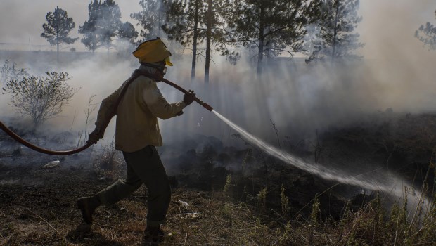 Brigadistas advierten que los focos de incendio comienzan a afectar el sur  de Misiones - Actualidad | Diario La Prensa